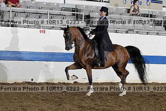Proof 10r13_6223