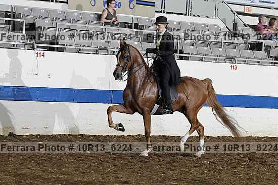 Proof 10r13_6224