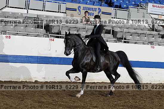 Proof 10r13_6229