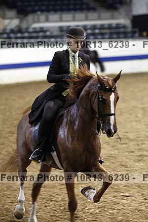 Proof 10r13_6239