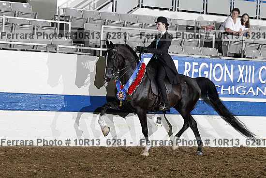 Proof 10r13_6281