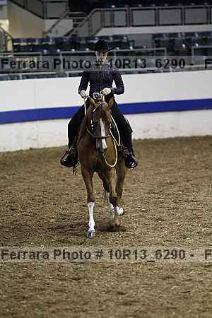 Proof 10r13_6290