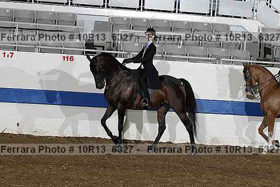 Proof 10r13_6327