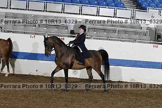 Proof 10r13_6329