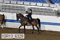 10r13_6329 proof