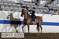 10r13_6333 proof