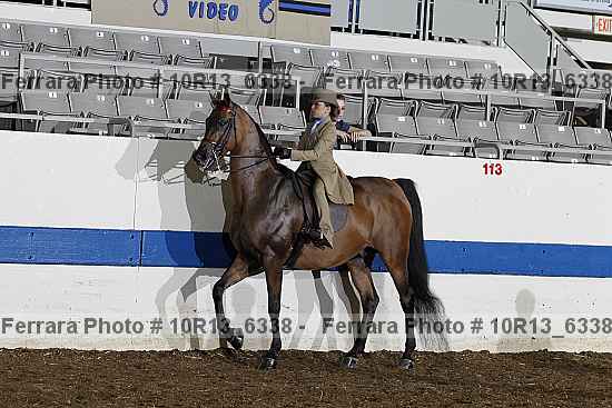 Proof 10r13_6338