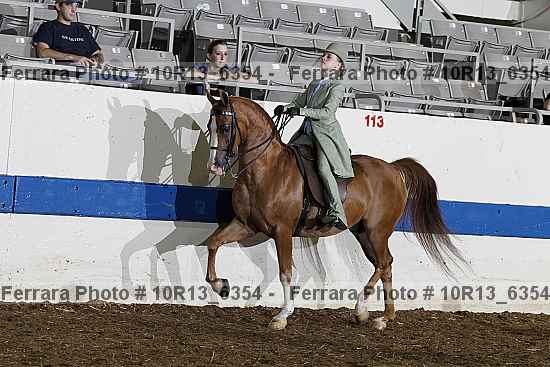 Proof 10r13_6354