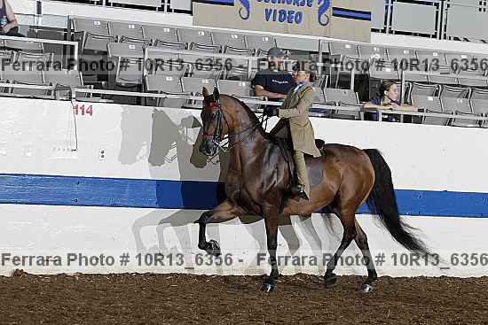 Proof 10r13_6356