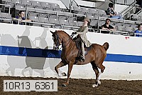 10r13_6361 proof