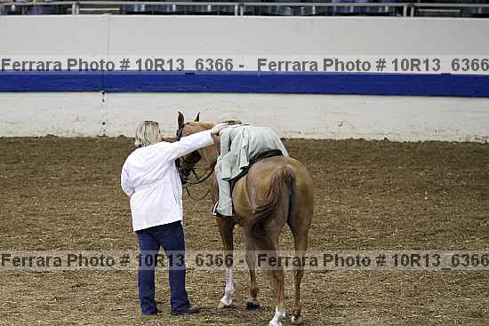 Proof 10r13_6366
