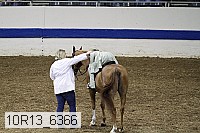 10r13_6366 proof