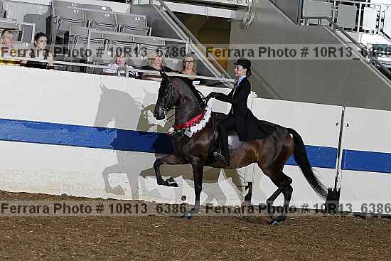 Proof 10r13_6386