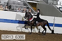 10r13_6386 proof
