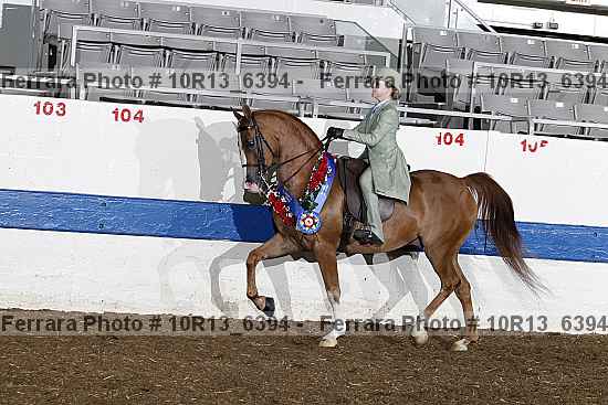 Proof 10r13_6394