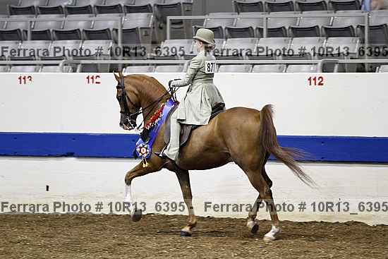 Proof 10r13_6395