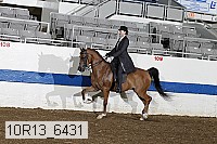 10r13_6431 proof