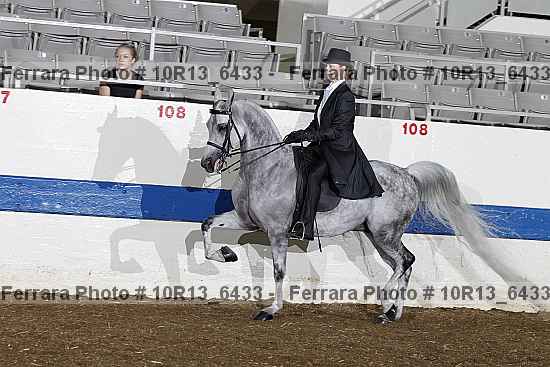 Proof 10r13_6433
