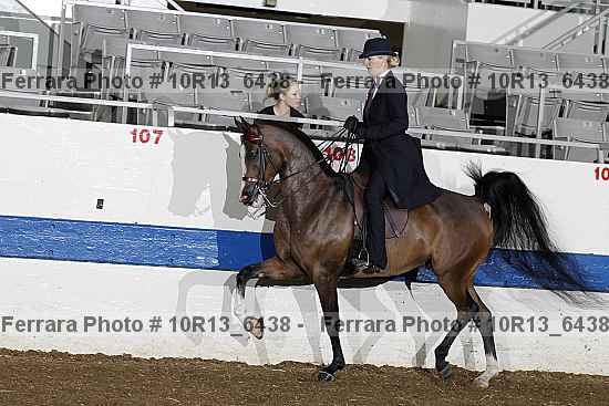 Proof 10r13_6438