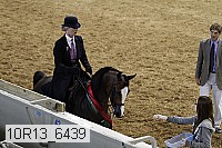 10r13_6439 proof
