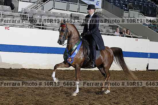 Proof 10r13_6463