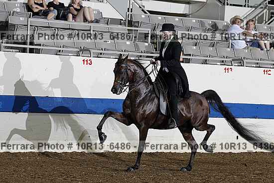 Proof 10r13_6486