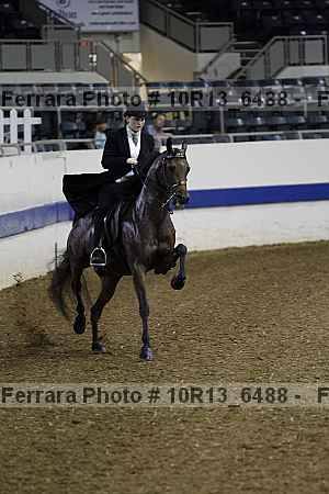 Proof 10r13_6488