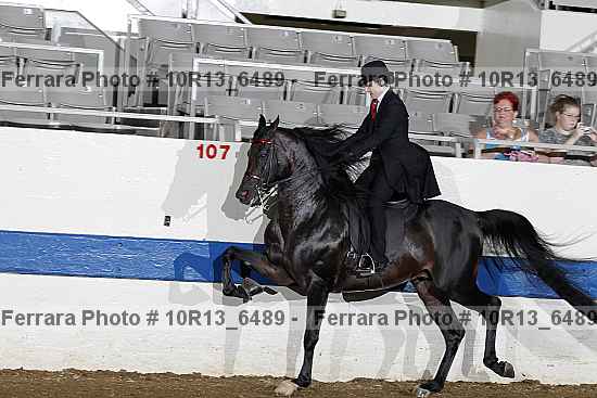 Proof 10r13_6489