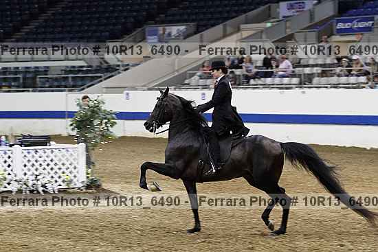 Proof 10r13_6490