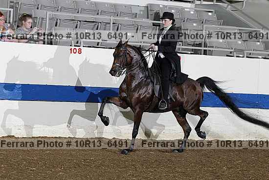 Proof 10r13_6491