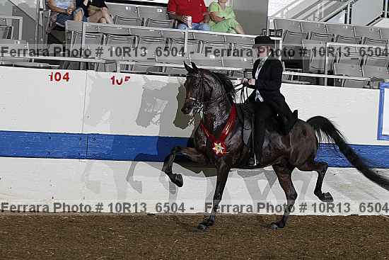 Proof 10r13_6504