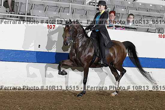 Proof 10r13_6515