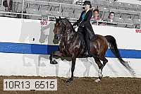 10r13_6515 proof
