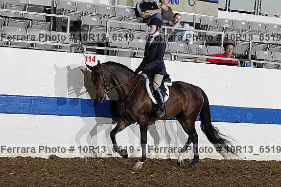 Proof 10r13_6519