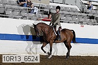 10r13_6524 proof