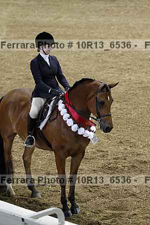 Proof 10r13_6536