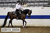 10r13_6594 proof