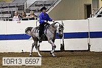 10r13_6597 proof