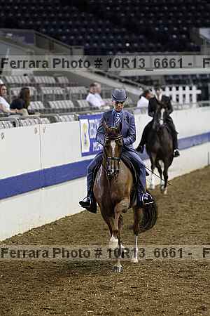Proof 10r13_6661