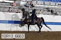 10r13_6663 proof