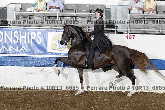 Proof 10r13_6665