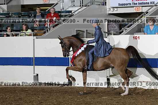 Proof 10r13_6690