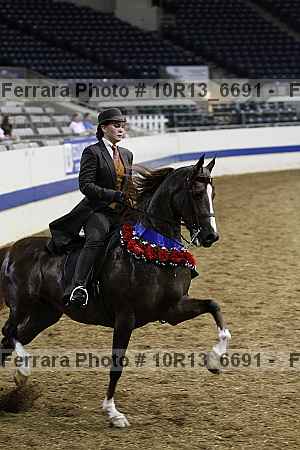 Proof 10r13_6691