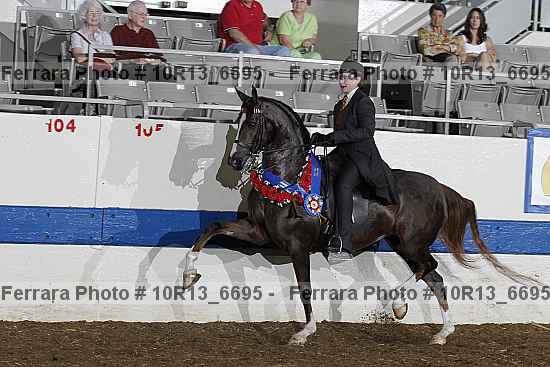 Proof 10r13_6695