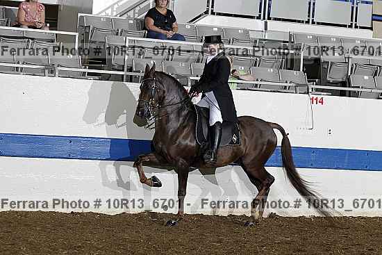 Proof 10r13_6701