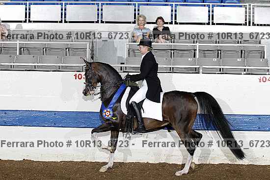 Proof 10r13_6723