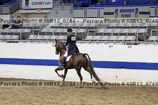 Proof 10r13_6744