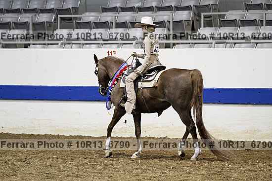 Proof 10r13_6790
