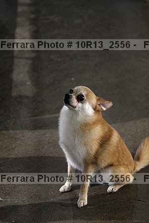 Proof 10r13_2556