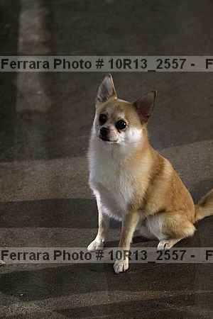 Proof 10r13_2557